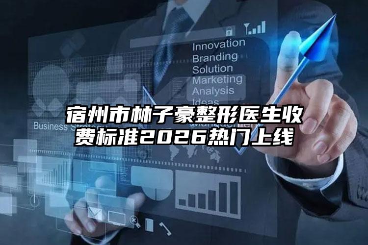 宿州市林子豪整形医生收费标准2026热门上线