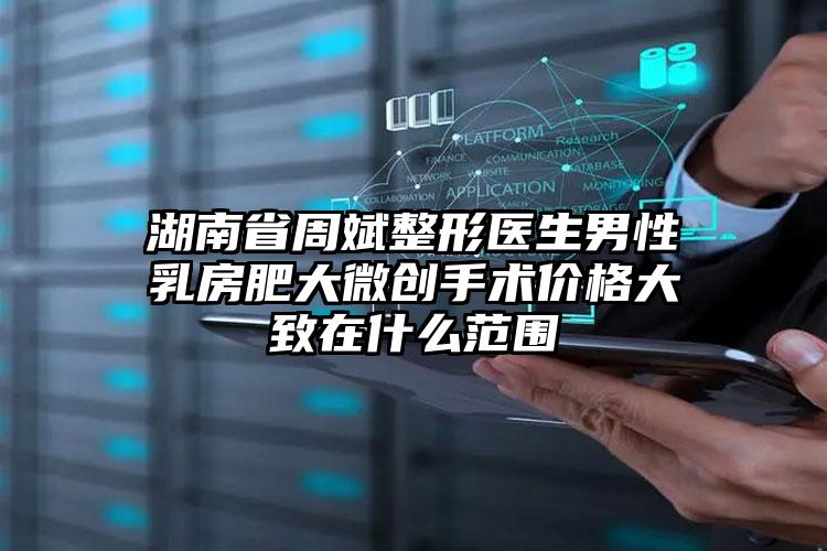 湖南省周斌整形医生男性乳房肥大微创手术价格大致在什么范围