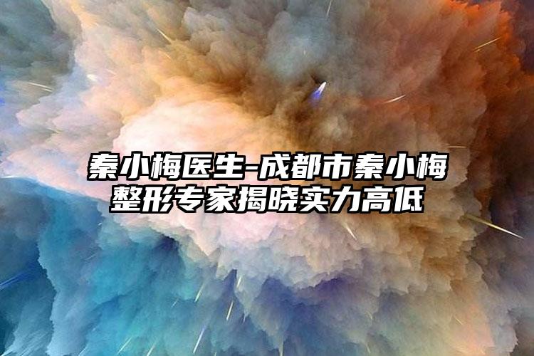 秦小梅医生-成都市秦小梅整形专家揭晓实力高低