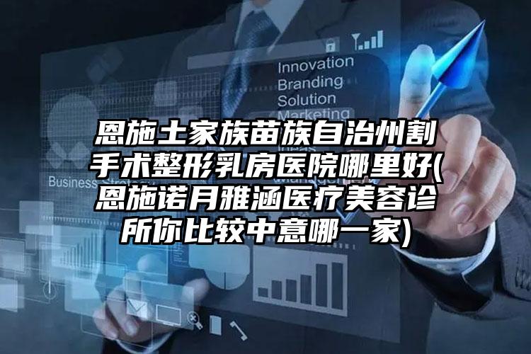 恩施土家族苗族自治州割手术整形乳房医院哪里好(恩施诺月雅涵医疗美容诊所你比较中意哪一家)