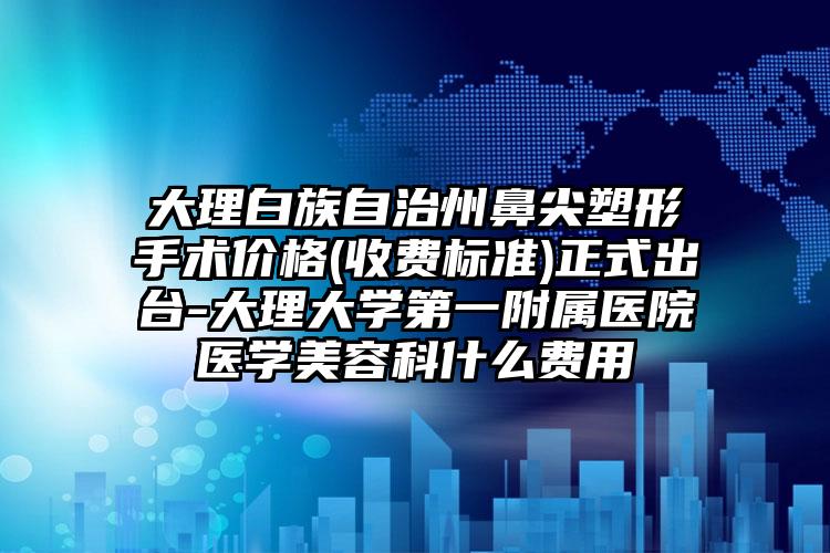 大理白族自治州鼻尖塑形手术价格(收费标准)正式出台-大理大学第一附属医院医学美容科什么费用