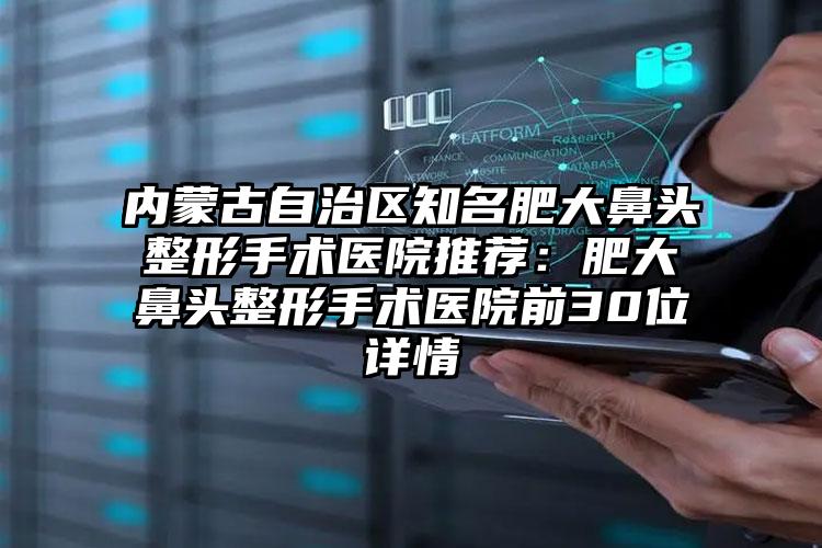 内蒙古自治区知名肥大鼻头整形手术医院推荐：肥大鼻头整形手术医院前30位详情